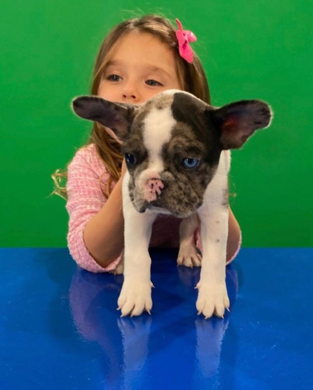 Happy family with their bulldog from Master Bulldogs Miami - Family 11