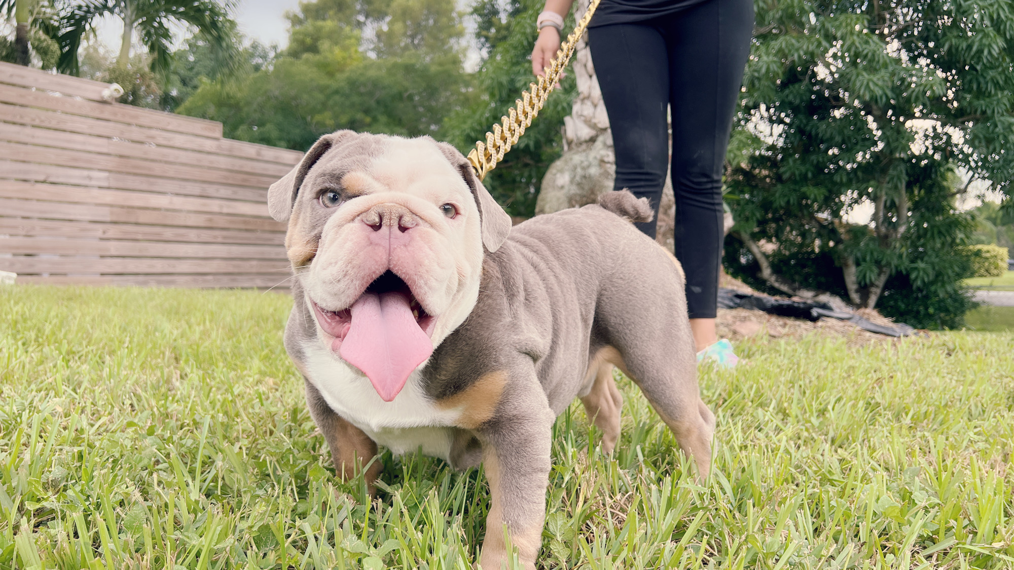 Pets Hotel / Overnight Services​ - 9