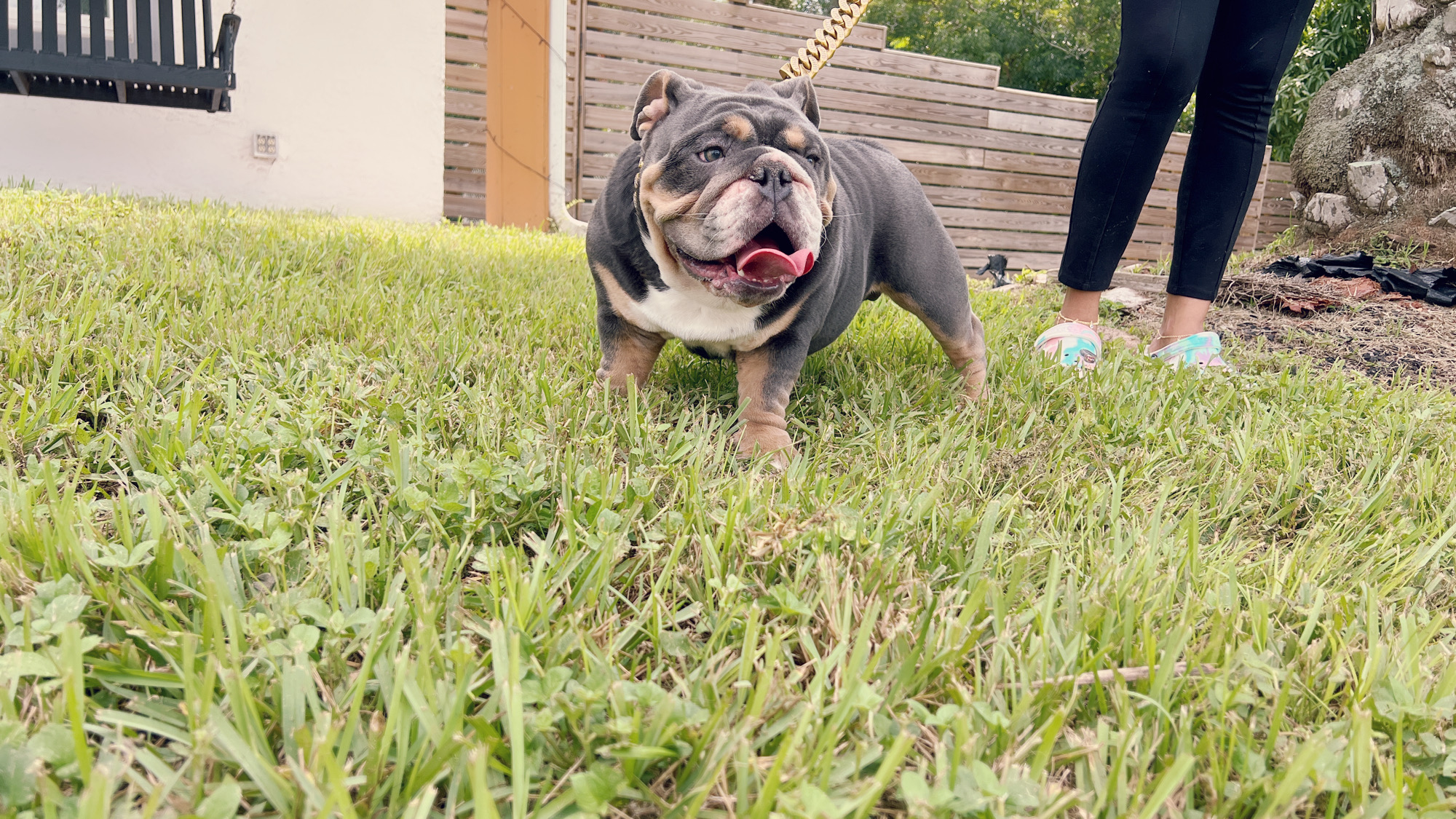 Veterinary Services - 12