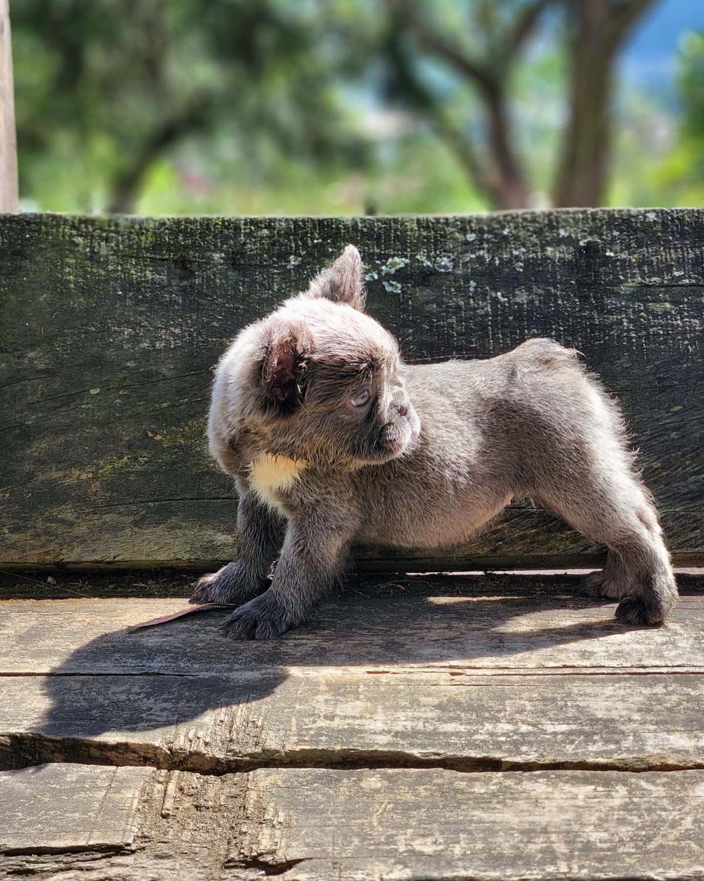 elementor-mega-item-2673 - 6