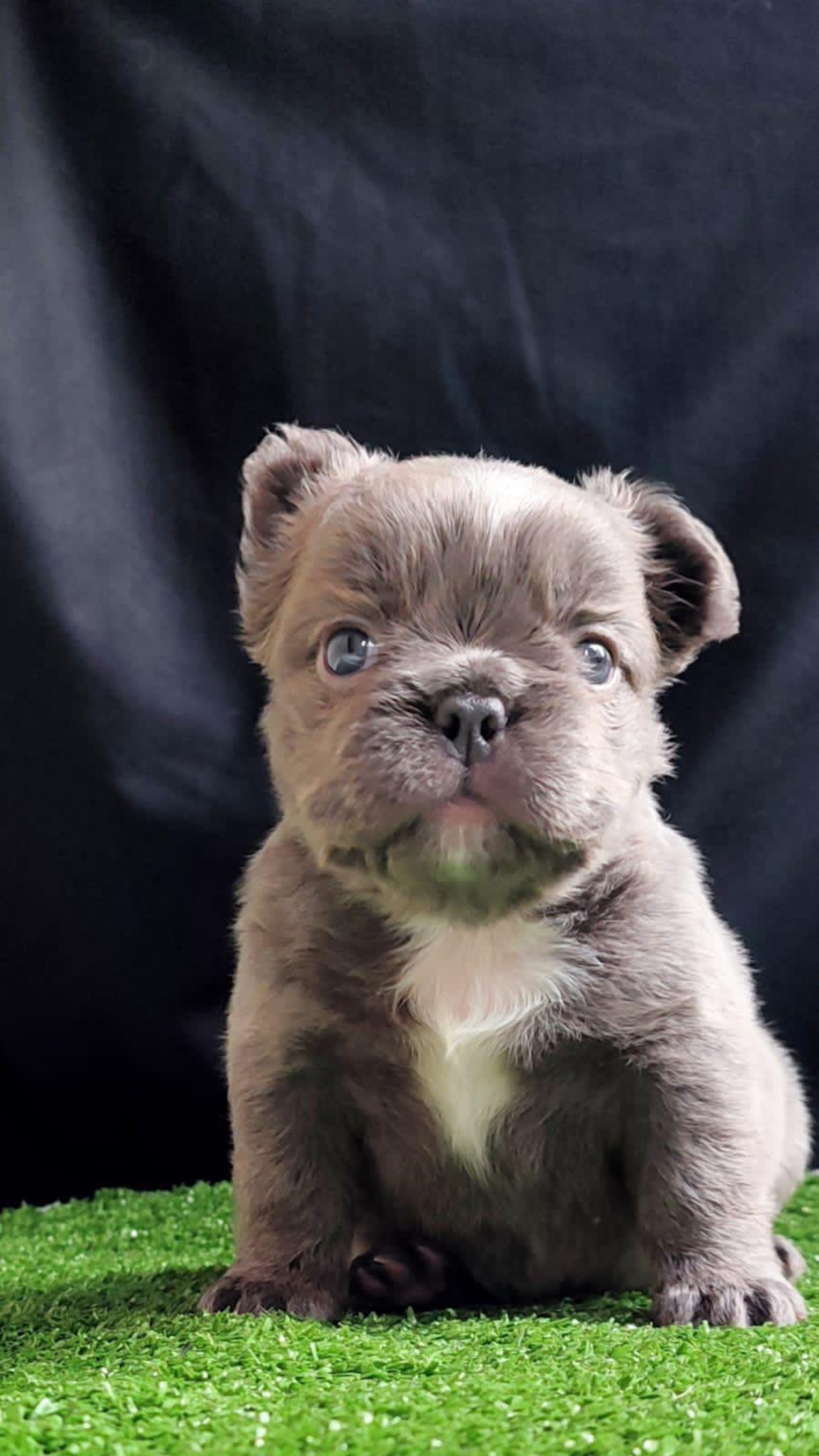 elementor-mega-item-2673 - 9