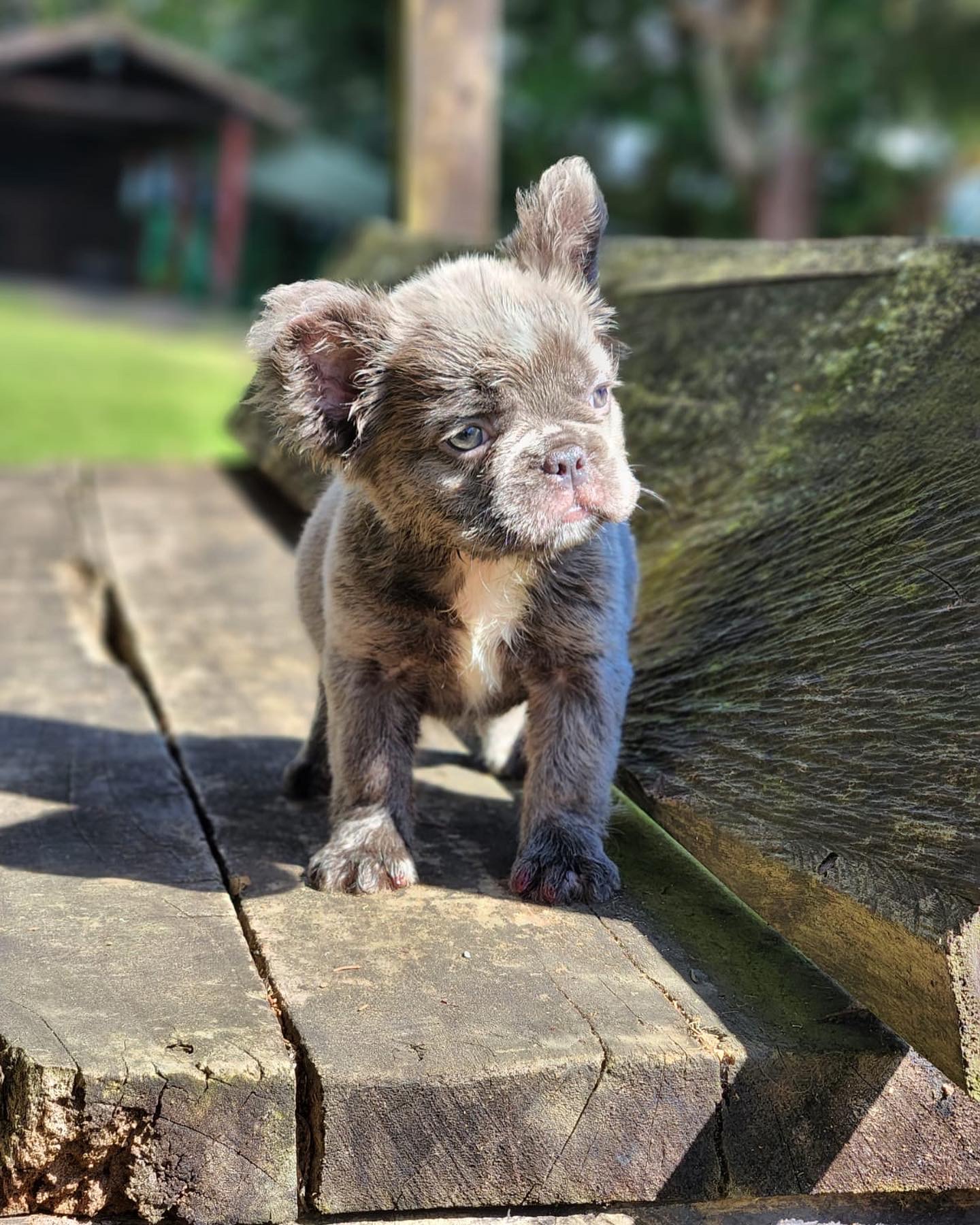 elementor-mega-item-2673