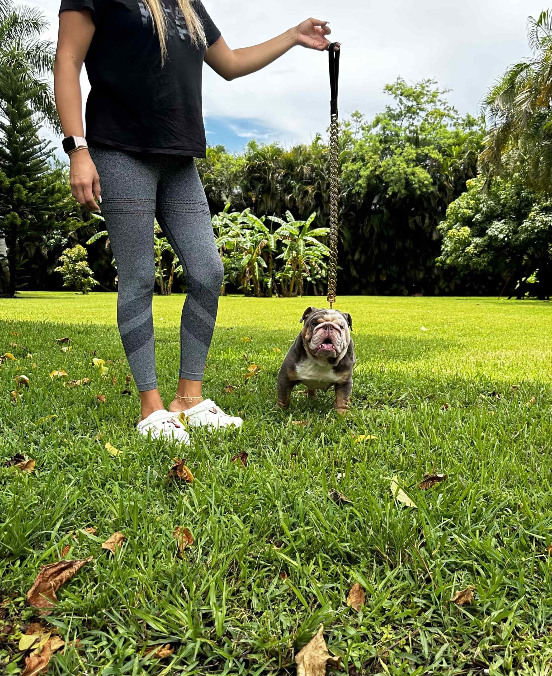 Pets Hotel / Overnight Services​