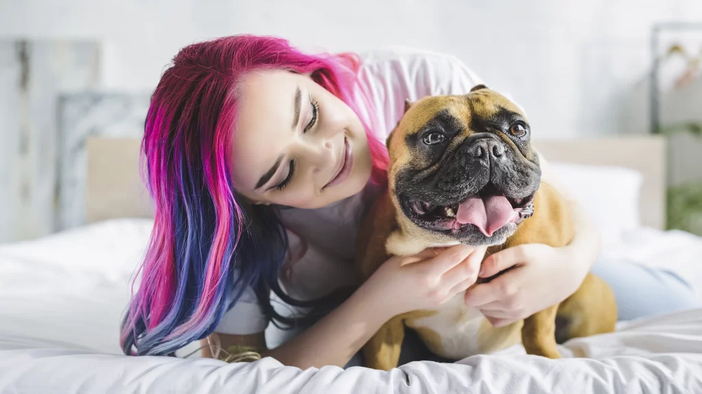 An adorable French Bulldog being held by a girl, showcasing the charm and affection of the breed.